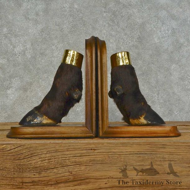 Sable Antelope Book Ends For Sale #16264 @ The Taxidermy Store