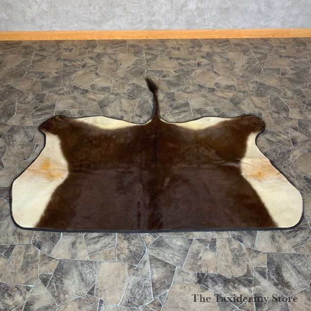 Sable Taxidermy Hide For Sale #22746 @ The Taxidermy Store