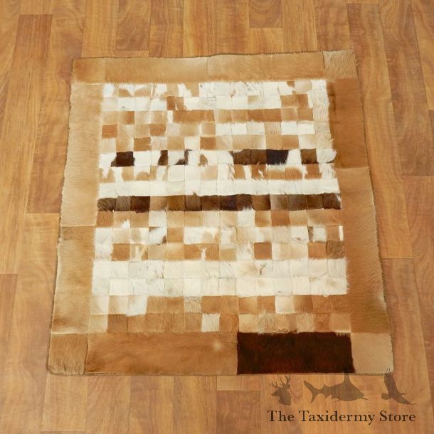 Springbok Taxidermy Rug For Sale #17427 For Sale @ The Taxidermy Store