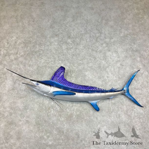 Striped Marlin Fish Mount For Sale #25870 @ The Taxidermy Store