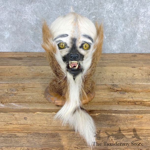 Swamp Booger Novely Mount For Sale #21711 @ The Taxidermy Store