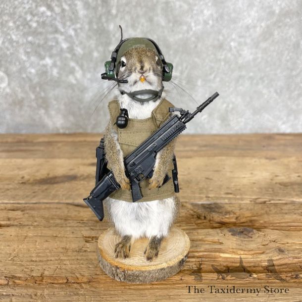 Tactical Squirrel Novelty Mount For Sale #26537 @ The Taxidermy Store