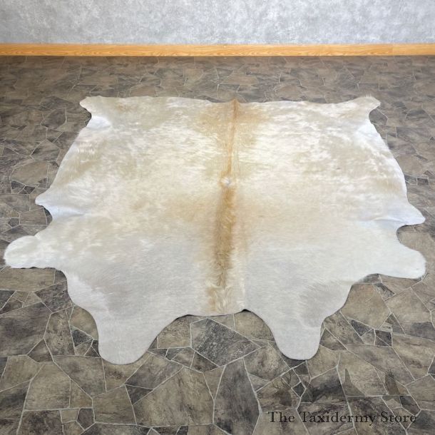 Tanned Cowhide Taxidermy Skin For Sale #26284 @ The Taxidermy Store