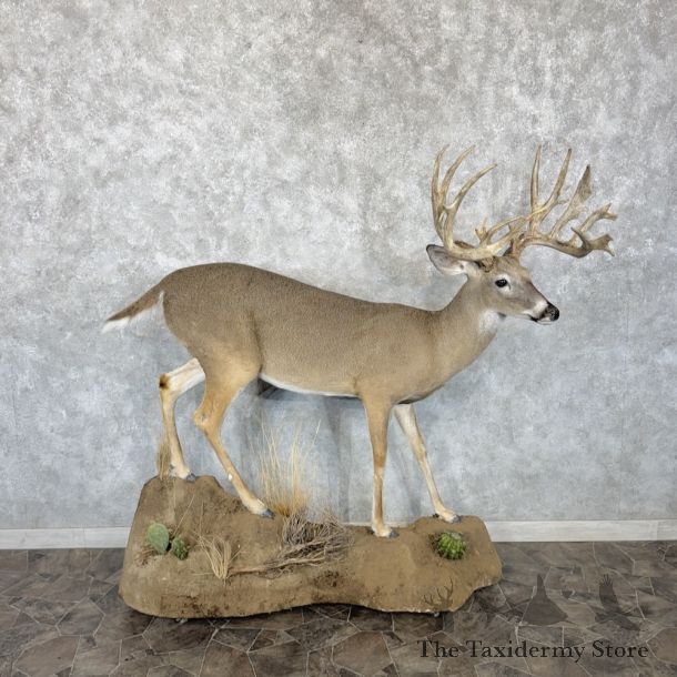 新生活準備に！iPhone12 本体64GB SIMフリー 充電新コード付