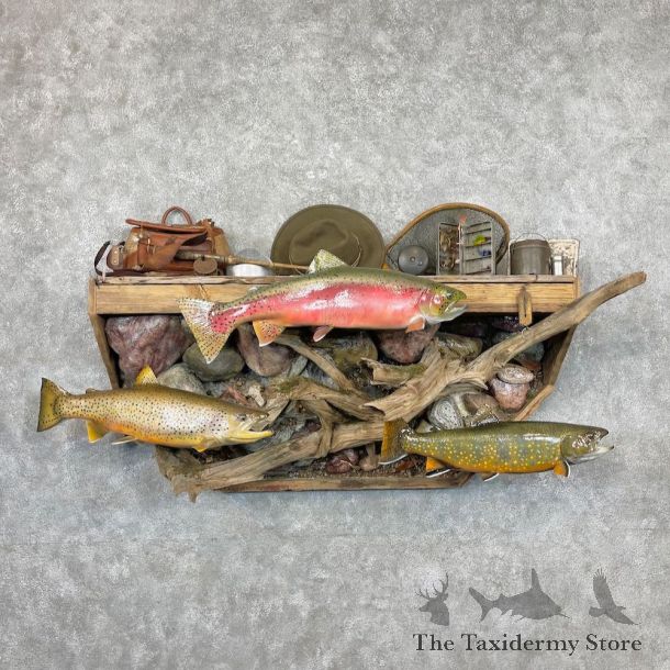Trout Trifecta Mount For Sale #26914 @ The Taxidermy Store