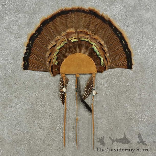Eastern Wild Turkey Fan For Sale #16962 @ The Taxidermy Store
