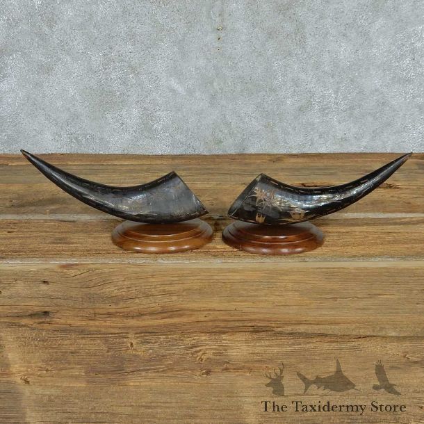 Water Buffalo Horn Carving Pair #13744 For Sale @ The Taxidermy Store