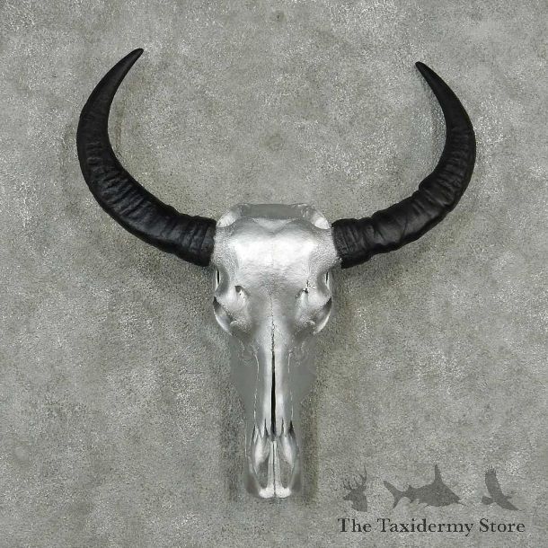 Water Buffalo Painted Skull Horns European Mount #13815 For Sale @ The Taxidermy Store