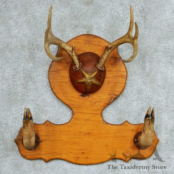 Whitetail Deer Antlers Gun Rack Taxidermy Mount #13319 For Sale @ The Taxidermy Store