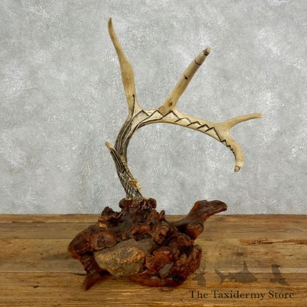 Whitetail Deer Antler Necklace Holder For Sale #17623 @ The Taxidermy Store