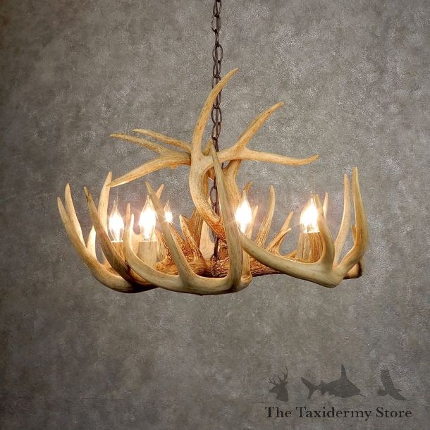 Whitetail Deer Antler Chandelier For Sale #21277 @ The Taxidermy Store