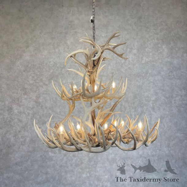 Whitetail Deer Antler Chandelier For Sale #28731 @ The Taxidermy Store