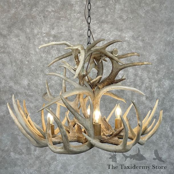 Whitetail Deer Antler Chandelier For Sale #28731 @ The Taxidermy Store