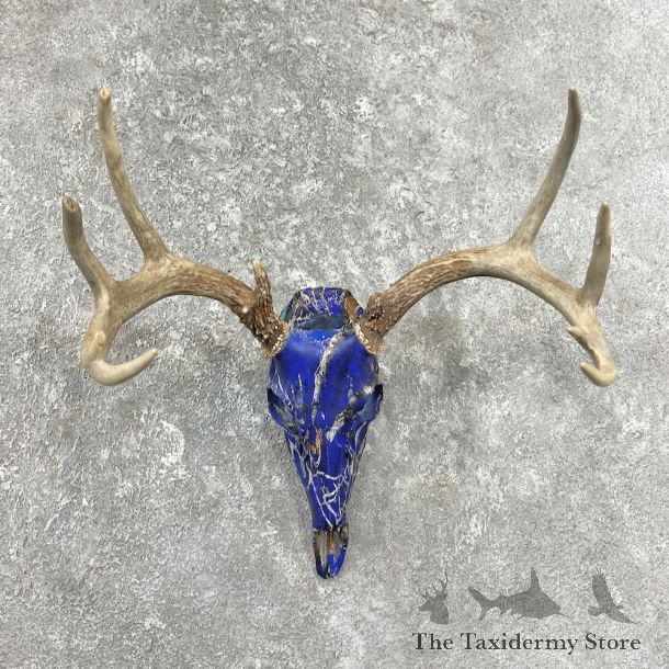 Whitetail Deer Dipped Skull Mount For Sale #26237 @ The Taxidermy Store