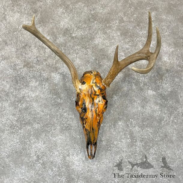 Whitetail Deer Dipped Skull Mount For Sale #28104 @ The Taxidermy Store
