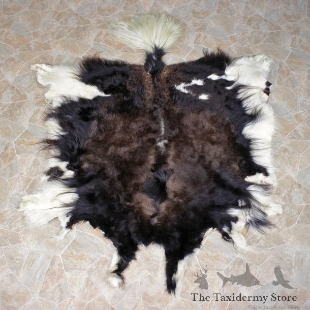 Yak Taxidermy Skin Rug #12344 For Sale @ The Taxidermy Store