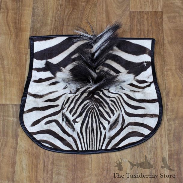 African Zebra Head Rug Taxidermy Mount #11067 For Sale @ The Taxidermy Store