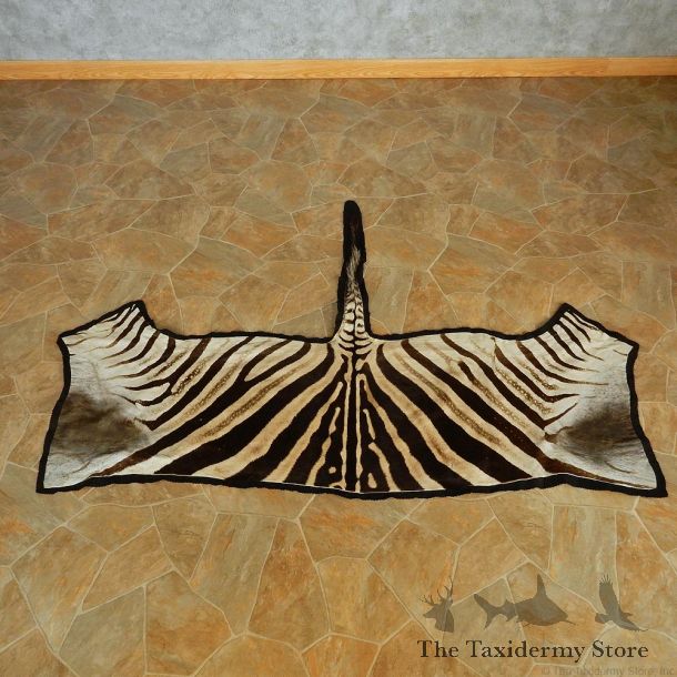 Zebra Half Rug Taxidermy Mount #13010 For Sale @ The Taxidermy Store