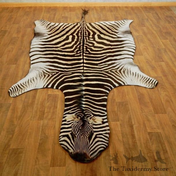 African Zebra Full-Size Taxidermy Rug For Sale #17277 @ The Taxidermy Store