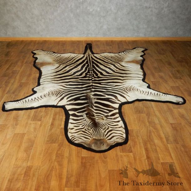 African Zebra Rug Taxidermy Mount For Sale #17423 @ The Taxidermy Store