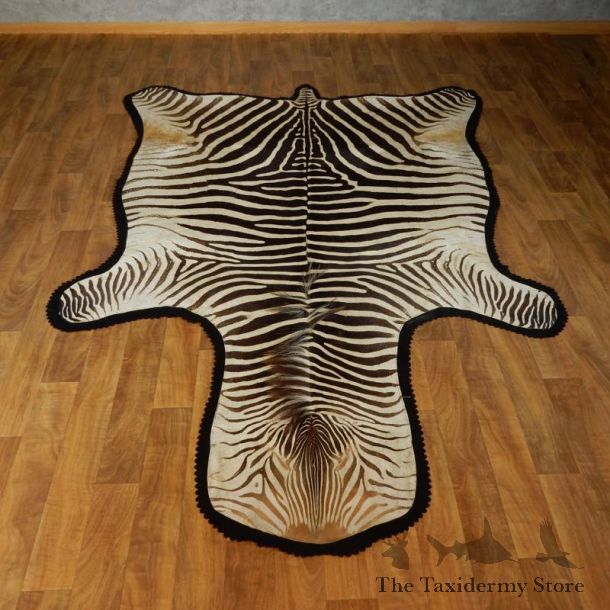 African Zebra Rug Taxidermy Mount For Sale #17424 @ The Taxidermy Store