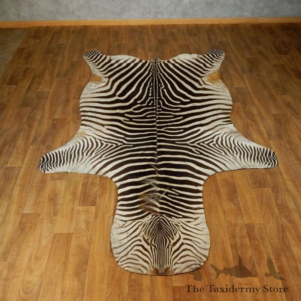 African Zebra Rug Taxidermy Mount For Sale #17425 @ The Taxidermy Store