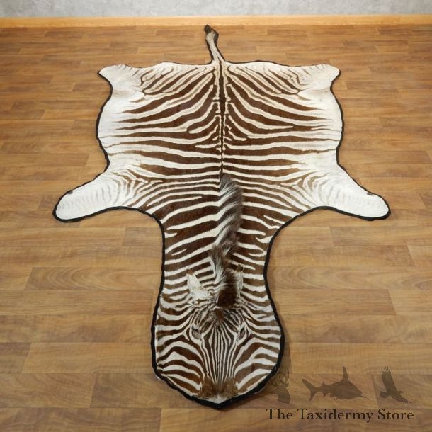 African Zebra Full-Size Taxidermy Rug For Sale #17870 @ The Taxidermy Store